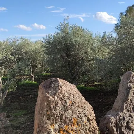Casa Basalto Uliveto * أروسييْ