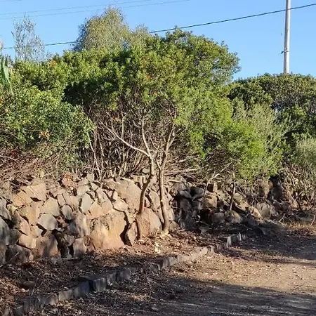 بيت للعطل Casa Basalto Uliveto أروسييْ